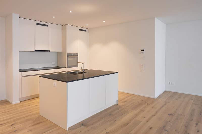 2.5 Zimmer-Dachwohnung mit Loggia und hohen Räumen (2)
