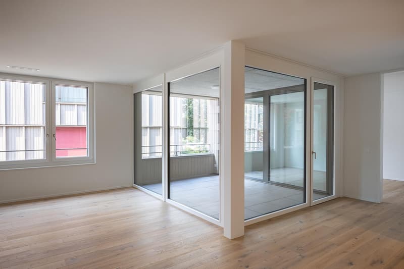 2.5 Zimmer-Dachwohnung mit Loggia und hohen Räumen (5)