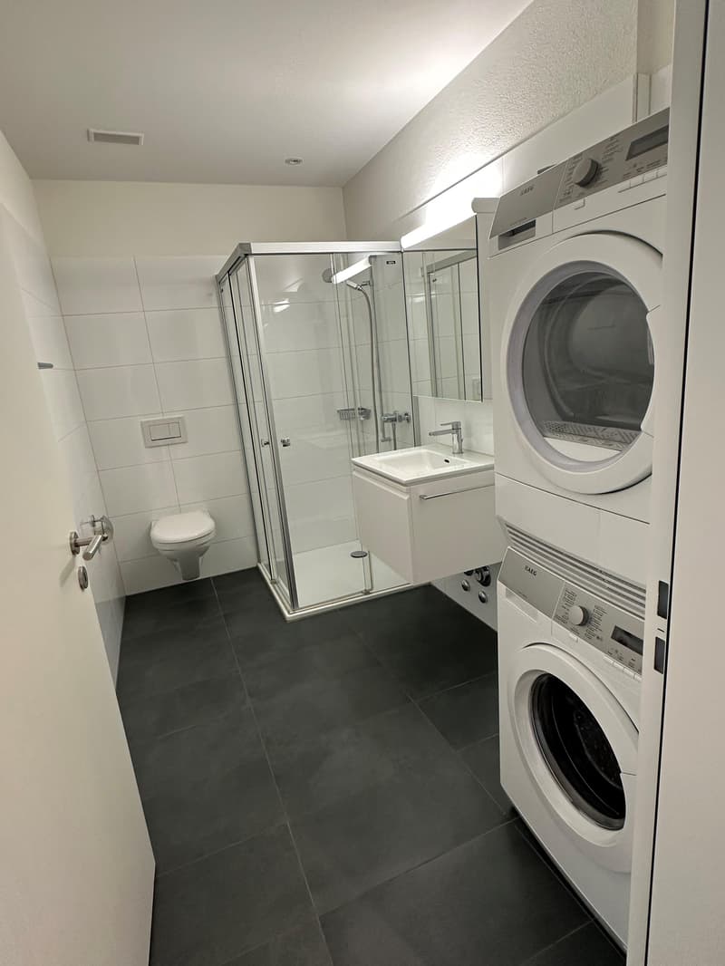 2.5 Zimmerwohnung in Rorschach (5)