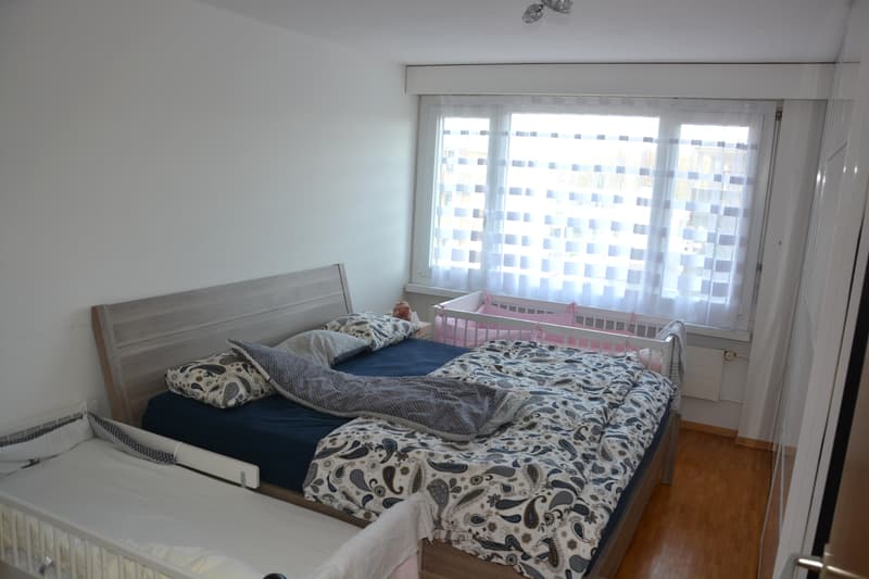 Wunderbare 4.5 Zimmer Wohnung mit Cheminée in Seenähe (5)