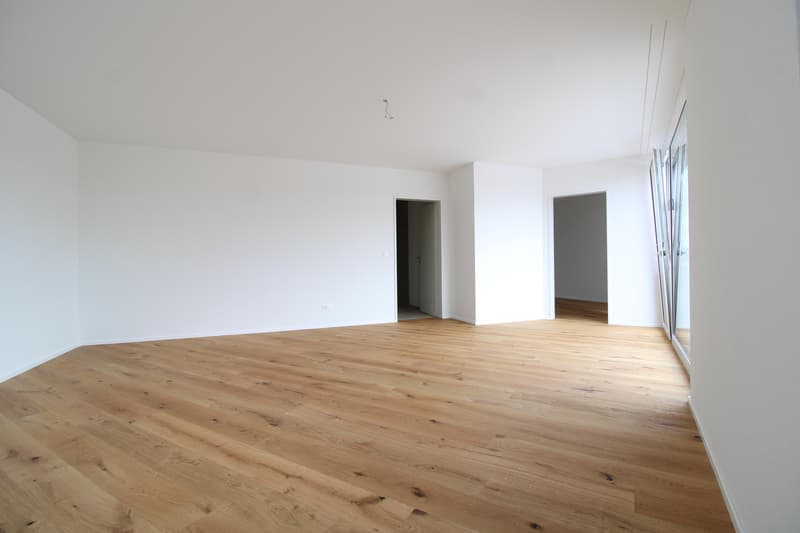 2.5 Zimmerwohnung in St. Gallen (6)