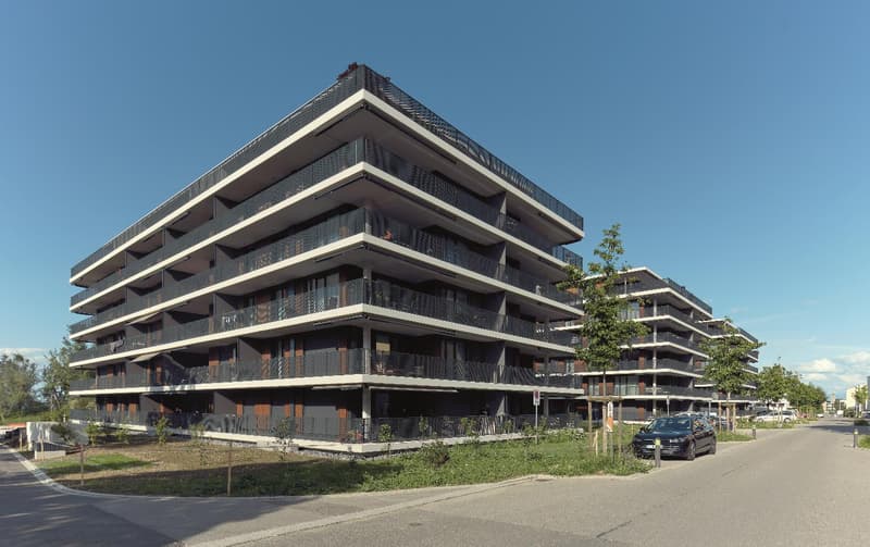Grosszügige 5.5-Zimmer-Wohnung mit weitläufiger Terrasse (1)