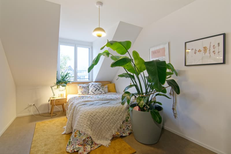 2.5 Zimmerwohnung in St. Gallen (6)