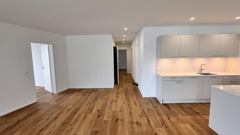 4.5 Zimmerwohnung in St. Gallen (1)