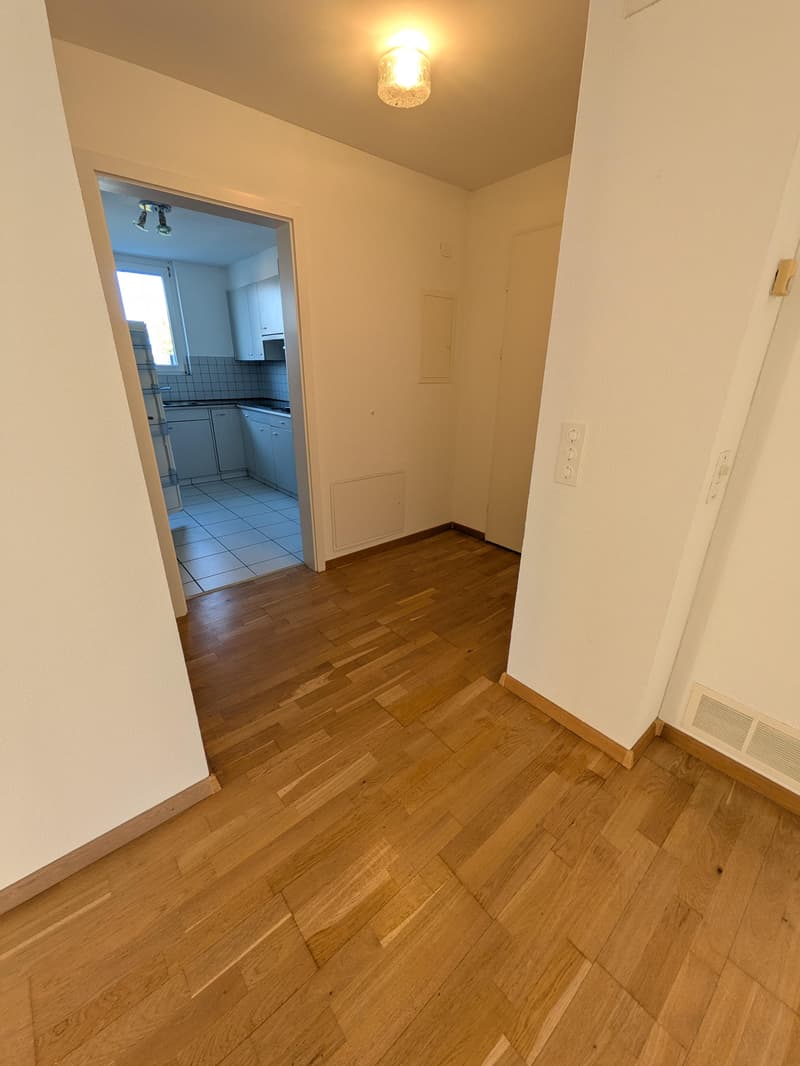 Wunderbare 4.5 Familienwohnung mit Cheminée & Seenähe (3)