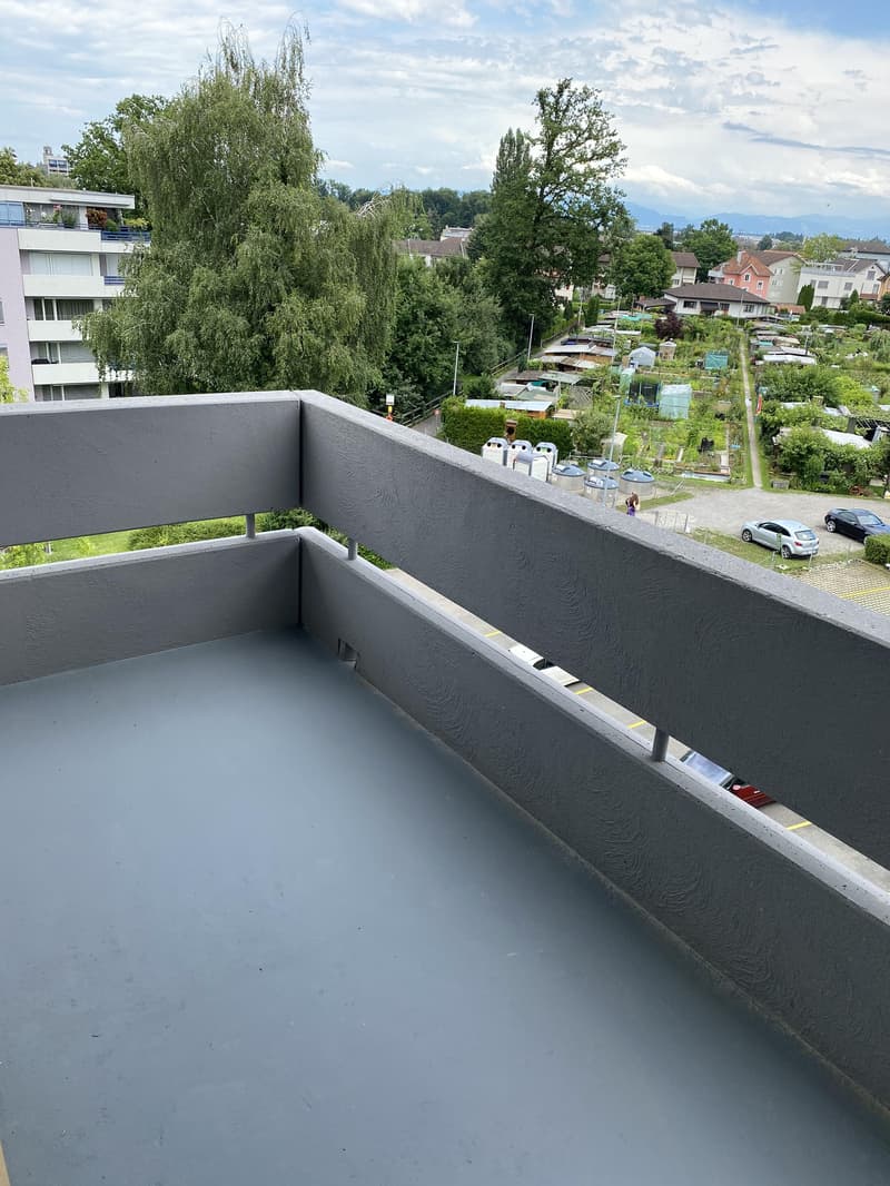 schöne 1.5 Singlewohnung (6)