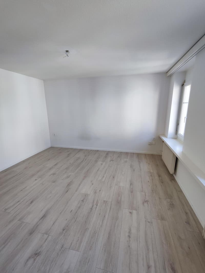 Helle 3.5-Zimmer-Wohnung mit Altbaucharme in St. Gallen (4)