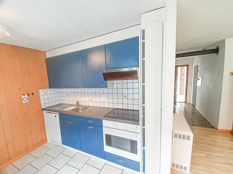 2- Zimmerwohnung im Erdgeschoss (3)
