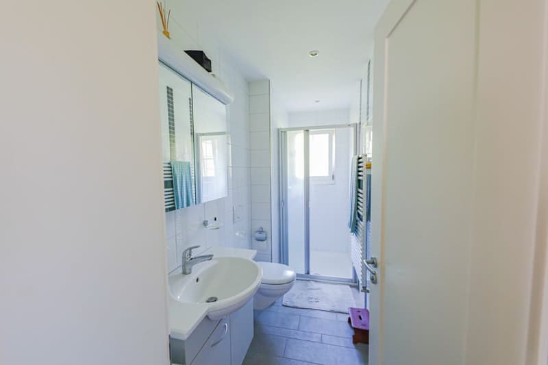 3.5 Zimmerwohnung im Hochparterre (7)