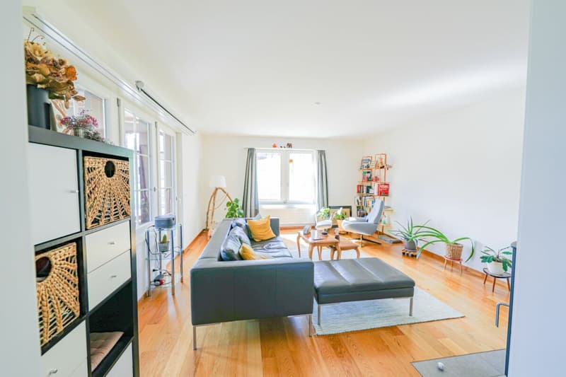 3.5 Zimmerwohnung im Hochparterre (10)