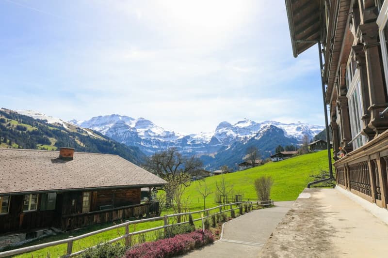 3.5 Zimmerwohnung im Hochparterre (12)
