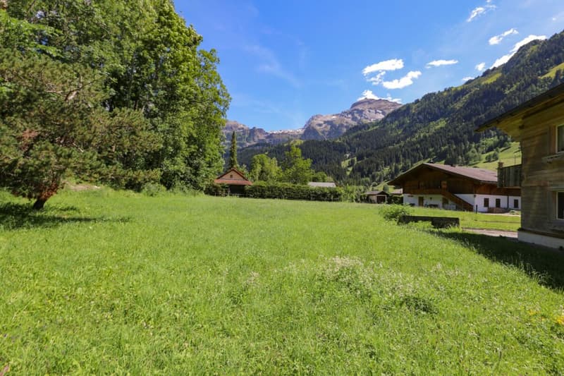 Baulandparzelle im Oberried (4)