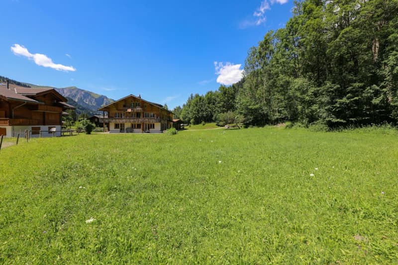 Baulandparzelle im Oberried (3)