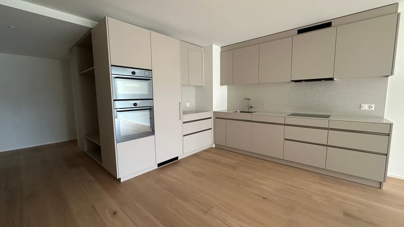 LAGO VISTA - Alte Landstrasse 22, Thalwil (2)