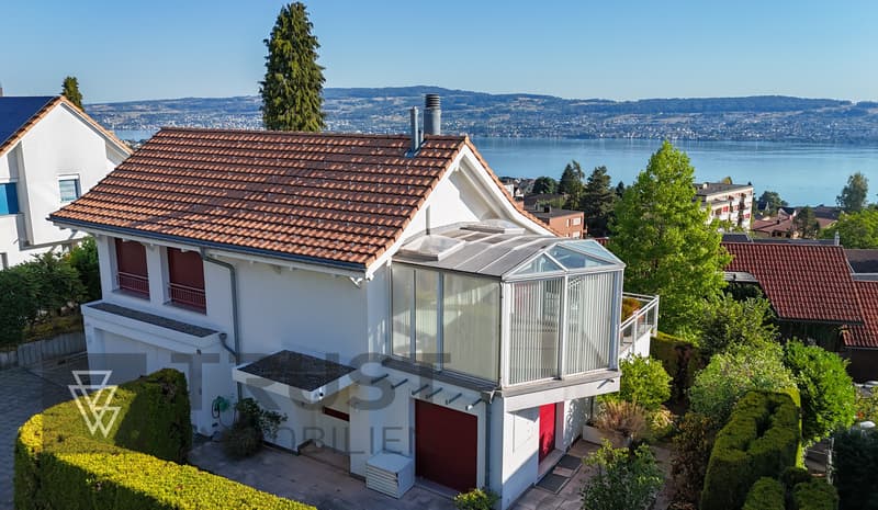 Wohnen über dem Zürichsee - mit Weitsicht und viel Raum. (1)