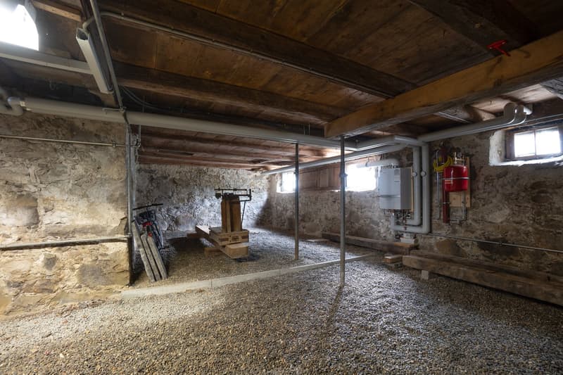 Charmantes Riegelhaus mit Stall und grosszügigem Umschwung (11)