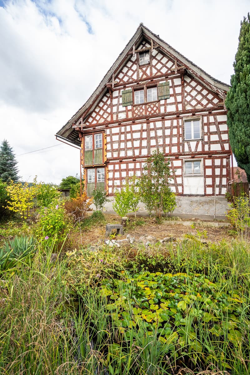 Charmantes Riegelhaus mit Stall und grosszügigem Umschwung (16)