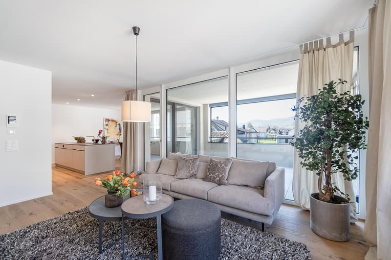 Grosszügige Gartenwohnung im Eigentumsstandard - mitte-widnau.ch (11)