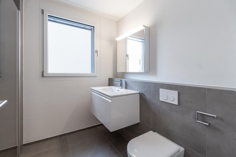 Traumwohnung nähe des Sempachersees (7)