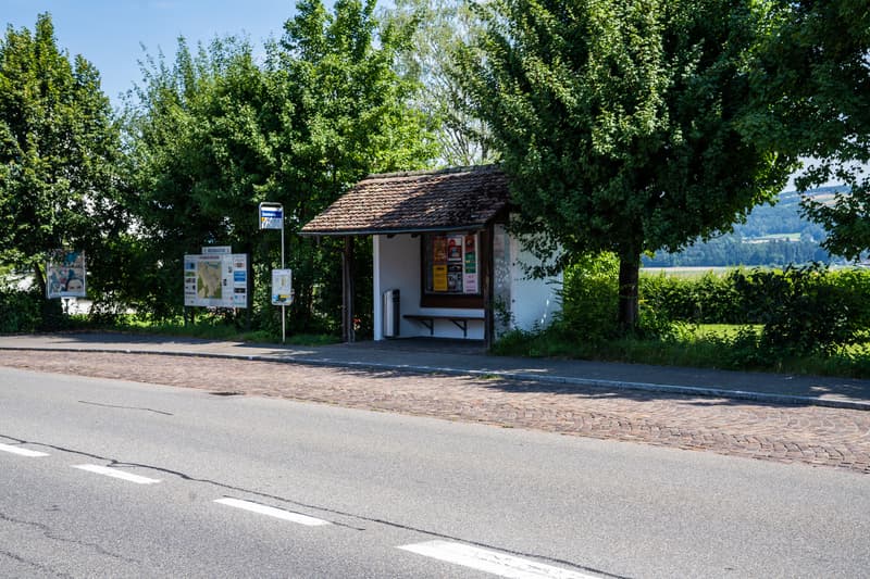 Wohntraum für Pendler (9)