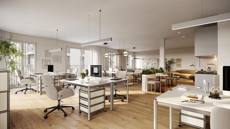 Effiziente Räume für Business und Leben (5)