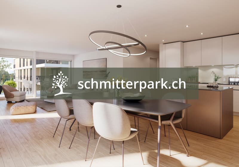 Modern wohnen in Diepoldsau - entdecken Sie schmitterpark.ch (1)