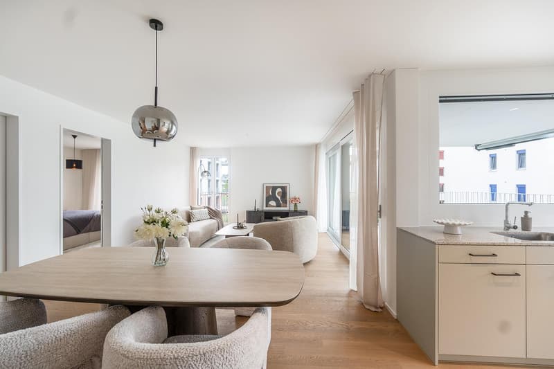 Top moderne Neubauwohnung in der sandgass.ch (5)