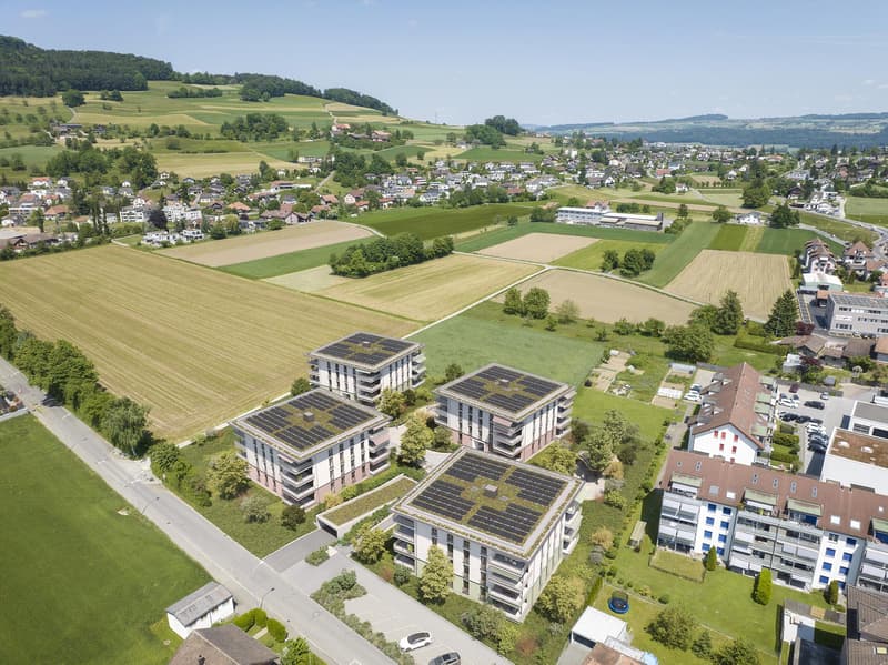 Moderne Studiowohnung in Reinach AG! (7)