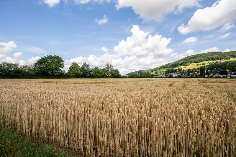 Benötigen Sie zusätzlichen Stauraum? (9)