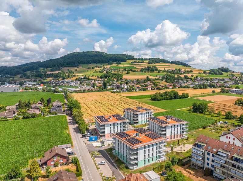 Gut begehbarer Lagerraum in Reinach AG (6)