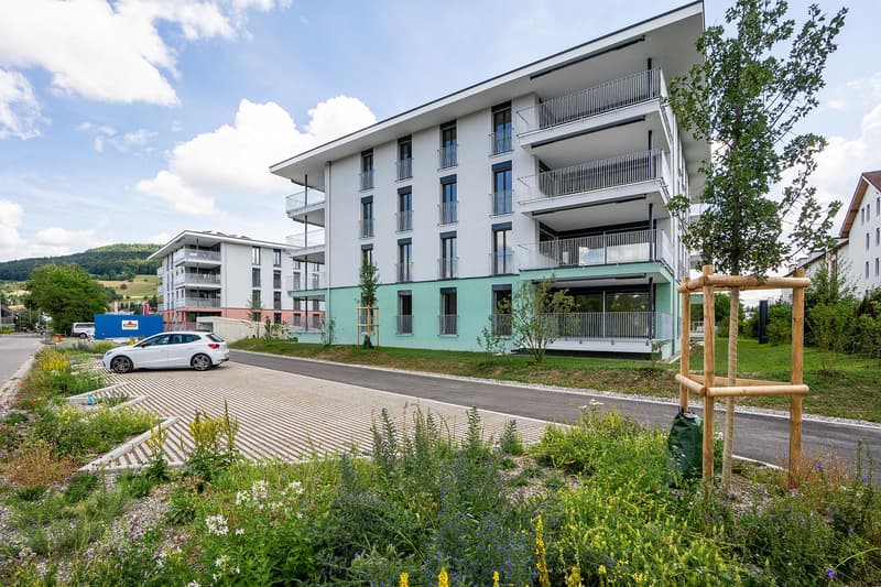 Gut begehbarer Lagerraum in Reinach AG (4)