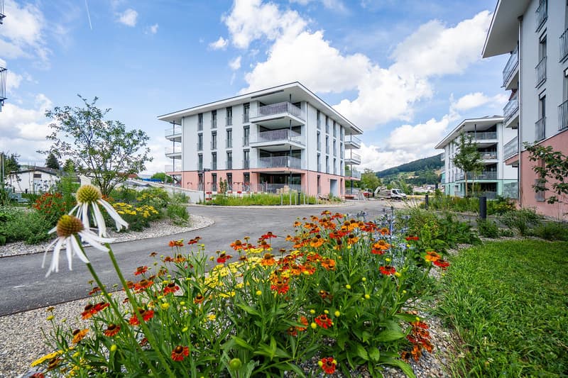 Gut begehbarer Lagerraum in Reinach AG (5)