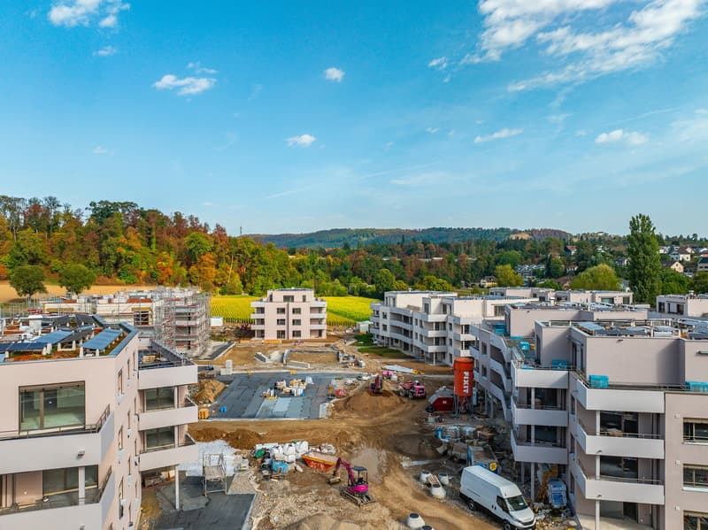 Special - 1 Zimmer geschenkt! 4.5 Zimmerwohnung in Othmarsingen (9)