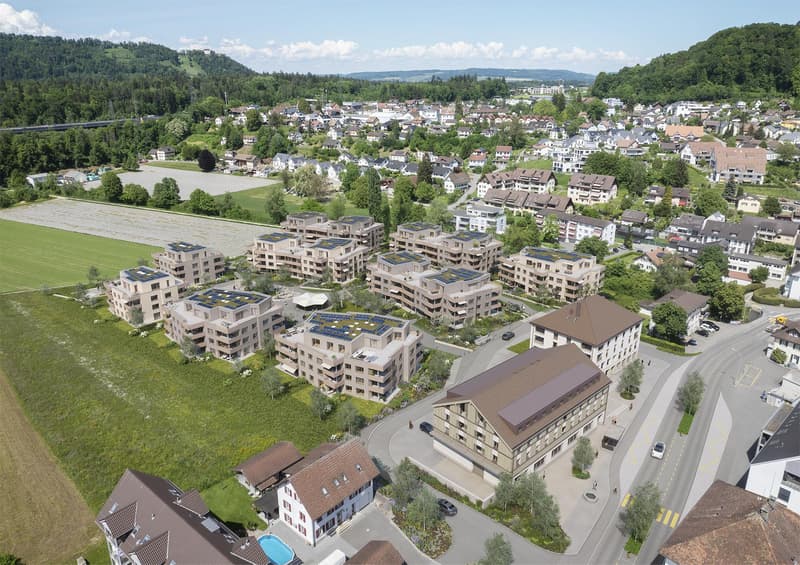 2.5 Zimmerwohnung in Othmarsingen (9)