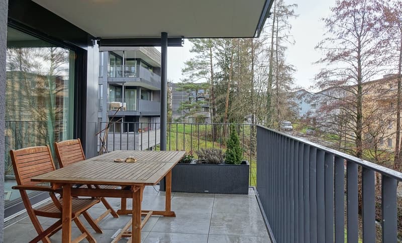 wooden table and chairs, outdoor furniture, metal railings, black railings, potted plants