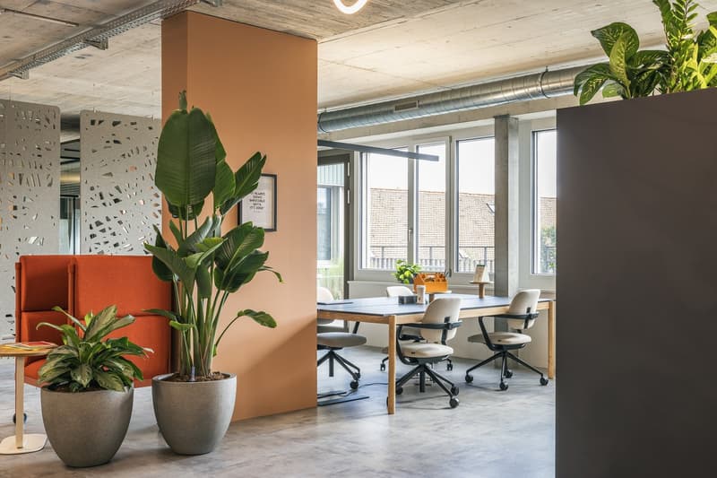 modern office with two tables, chairs, plants, beige couch, brown partition, large windows, gray flooring