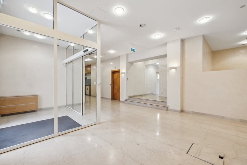Immeuble de prestige au coeur de Genève (3)