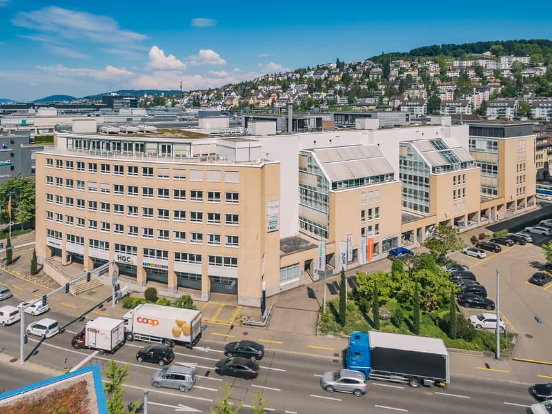Kleine Werkstatt / Gewerberaum mit Rampe (10)