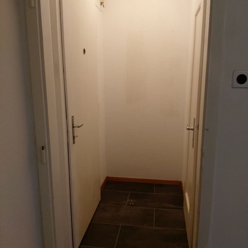 Zu vermieten renovierte 1-Zimmerwohnung in Herzogenbuchsee (1)