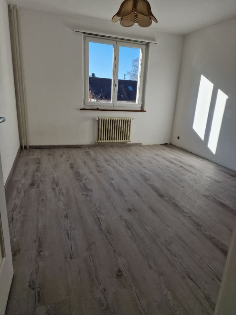 Zu vermieten neu renovierte 1-Zimmerwohnung, Herzogenbuchsee (2)