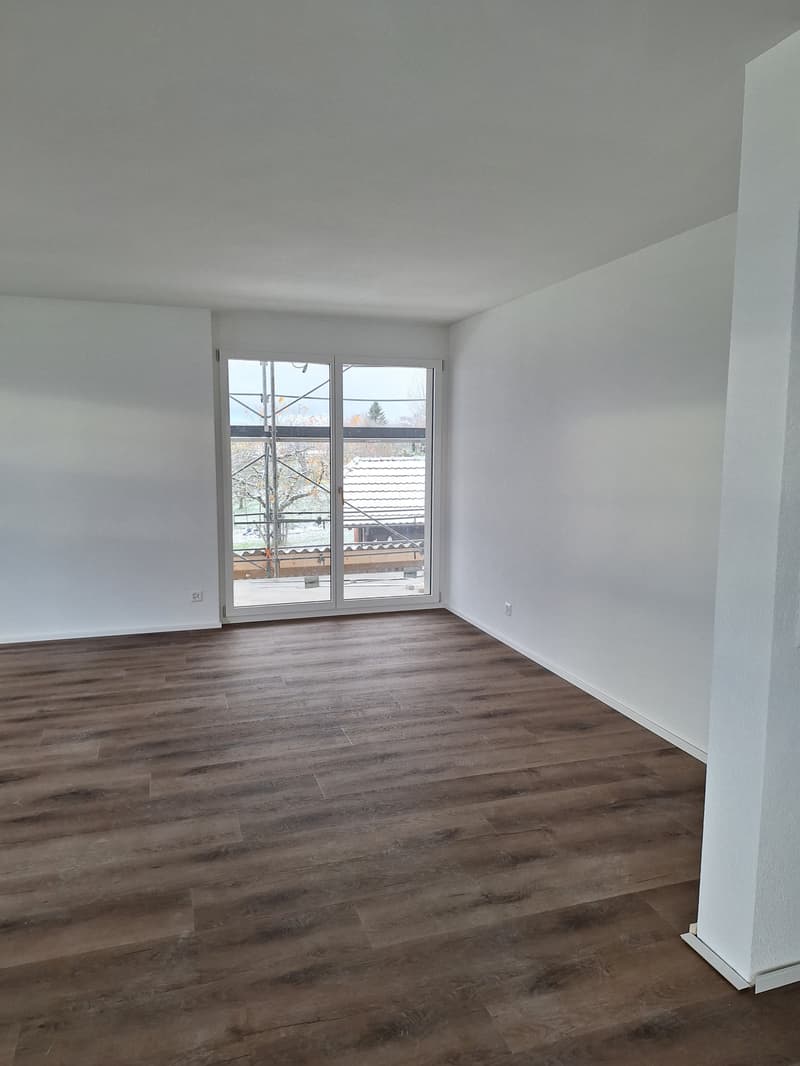 Neue 4.5-Zimmer-Wohnung in Dreifamilienhaus (Erstbezug) (2)
