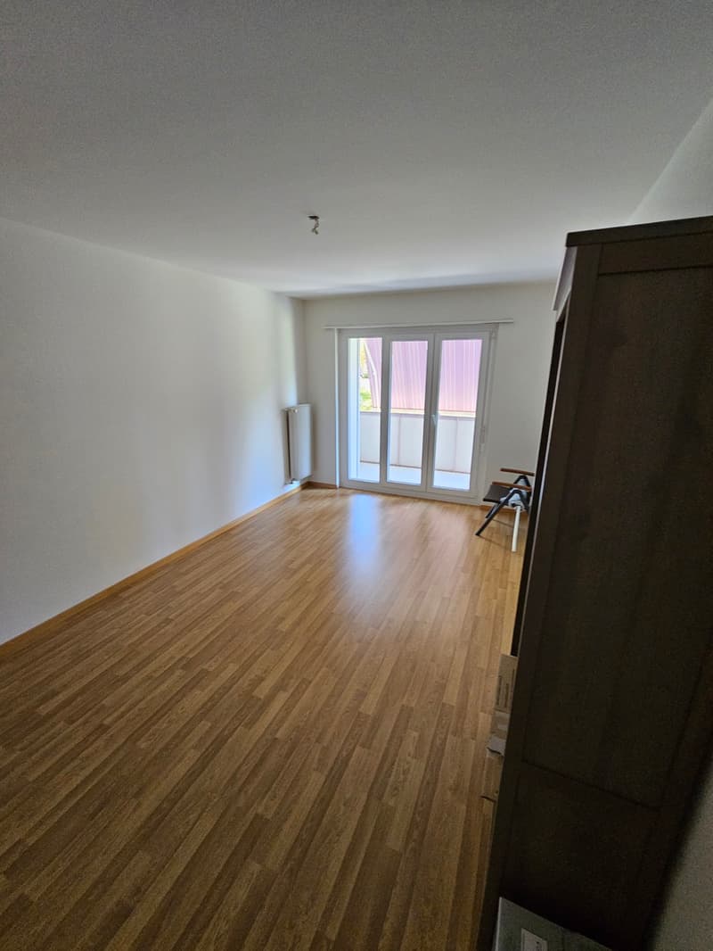 1.5-Zimmer Wohnung in Olten (1)