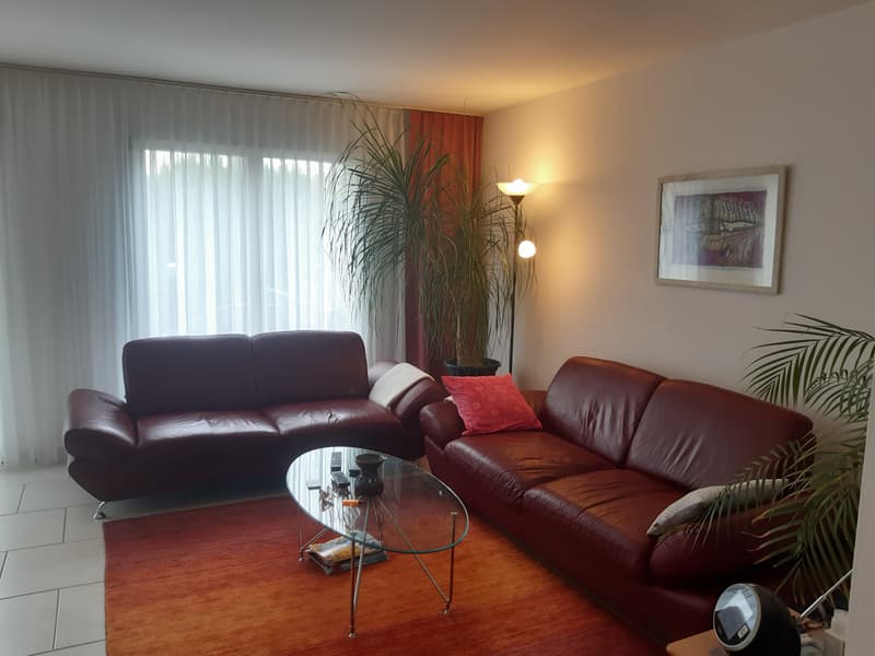 Möbliertes Reiheneinfamilienhaus (5 ½ Zimmer/220 m2) Reinach (1)