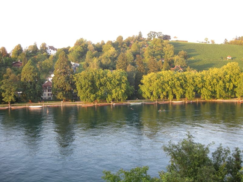 Wohnen am Rhein - Ferien im Alltag (1)
