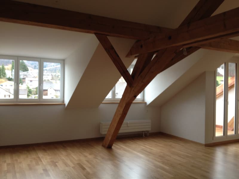 Schöne/spezielle Dachwohnung, kleine Galerie, 2 Balkone (2)