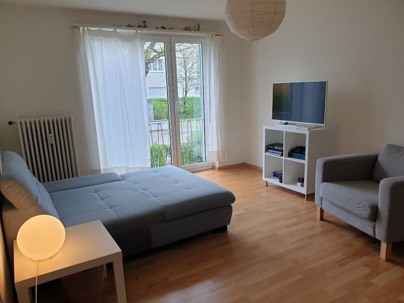 2 - Zimmer Wohnung in Allschwil, BL (1)