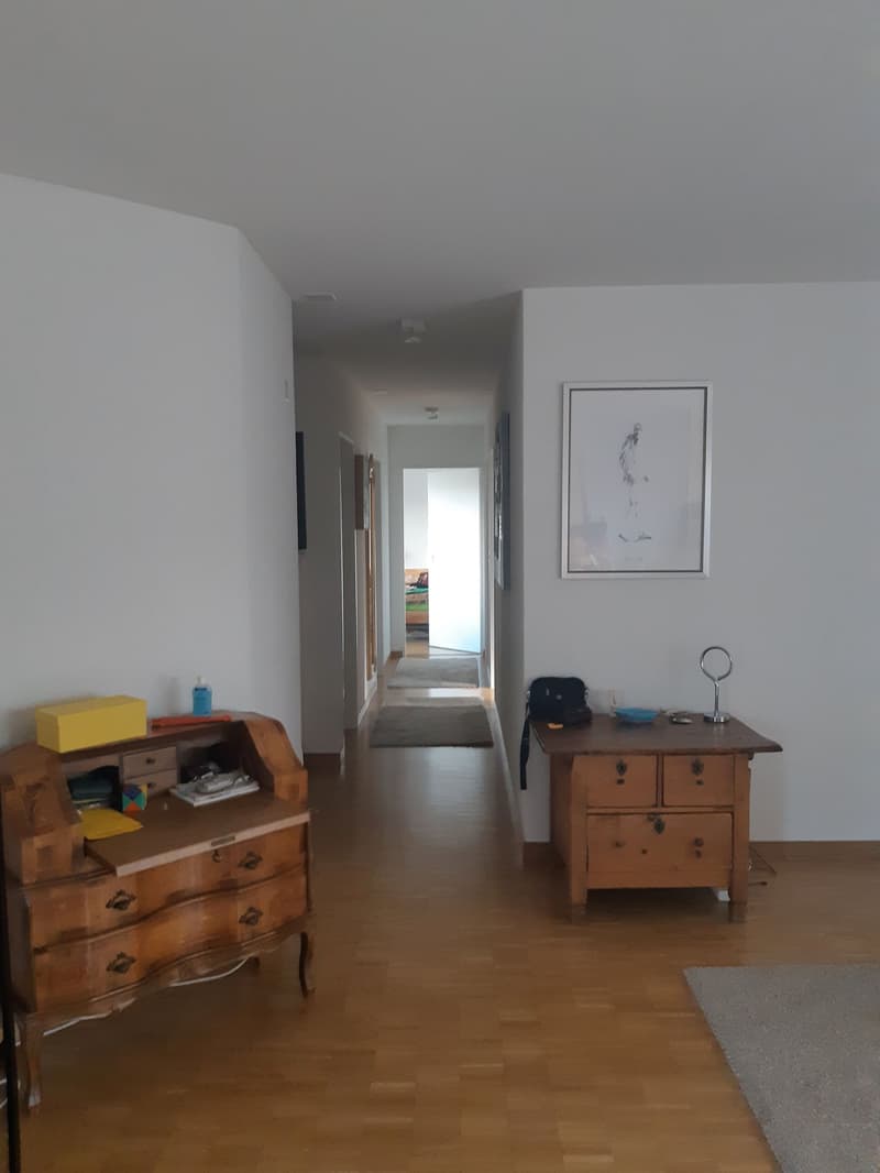 Suche WohnpartnerIn für gemütliche Wohnung in Wädenswil (2)