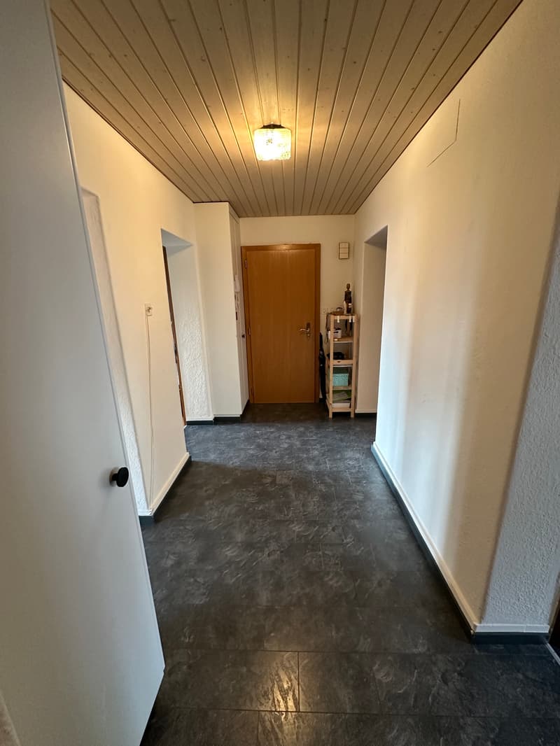Gemütliche Wohnung in Aarau sucht Nachmieter. (5)