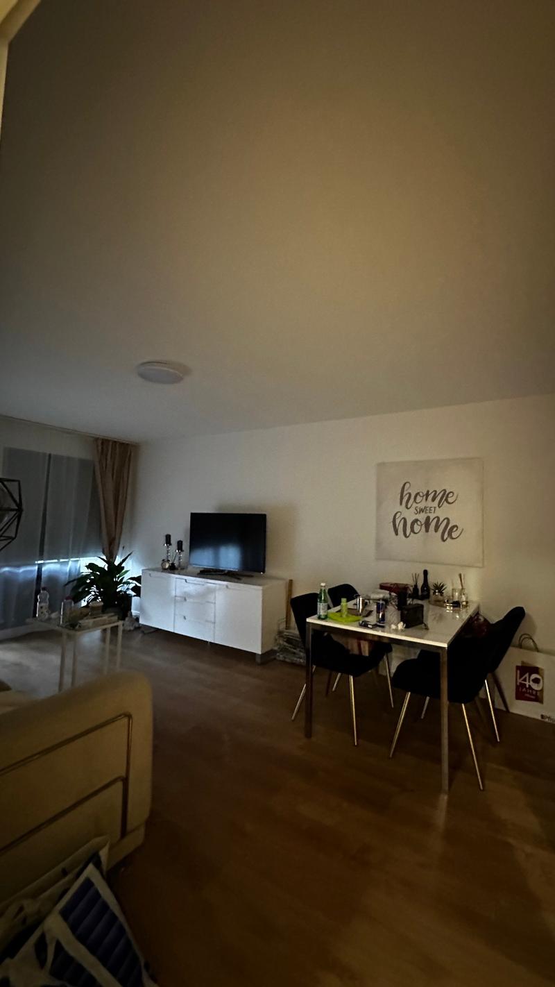 1 Zimmer Wohnung - Renoviert - Großer Balkon - Ebikon Luzern (1)