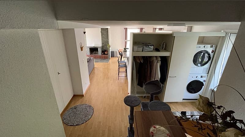 Traumhafte 2.5 - Zimmer Wohnung mit Top-Aussicht (2)